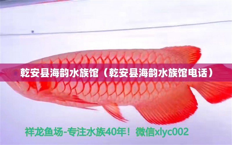 乾安縣海韻水族館（乾安縣海韻水族館電話） 全國(guó)水族館企業(yè)名錄