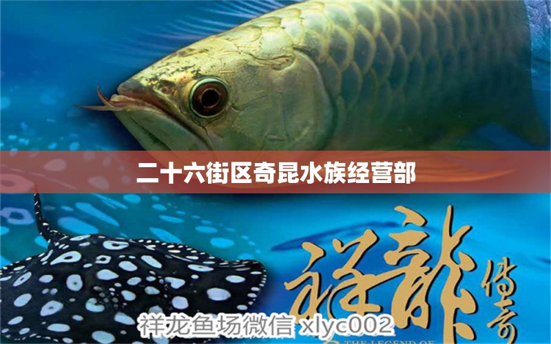 二十六街區(qū)奇昆水族經(jīng)營部 全國水族館企業(yè)名錄