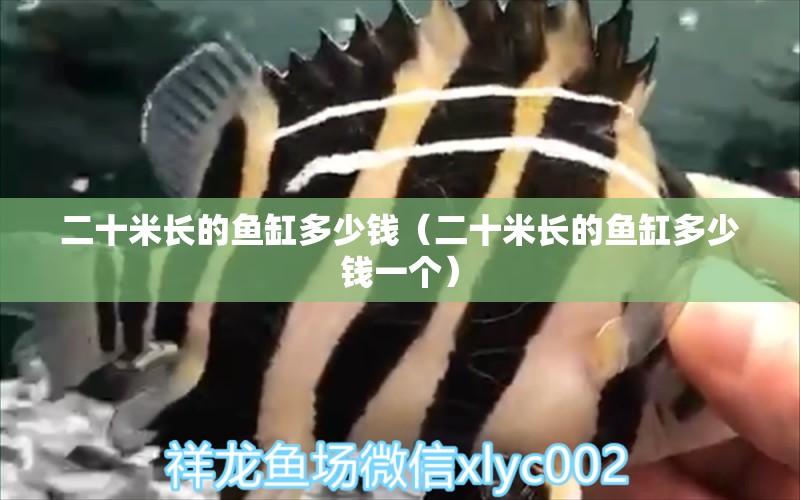 二十米長(zhǎng)的魚(yú)缸多少錢(qián)（二十米長(zhǎng)的魚(yú)缸多少錢(qián)一個(gè)） 其他品牌魚(yú)缸