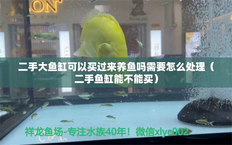 二手大魚缸可以買過來養(yǎng)魚嗎需要怎么處理（二手魚缸能不能買）