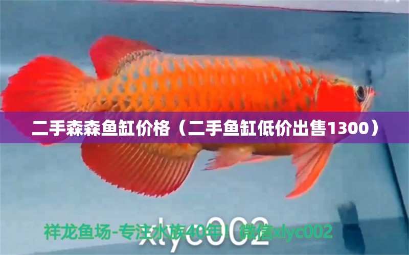 二手森森魚缸價(jià)格（二手魚缸低價(jià)出售1300） 全國水族館企業(yè)名錄