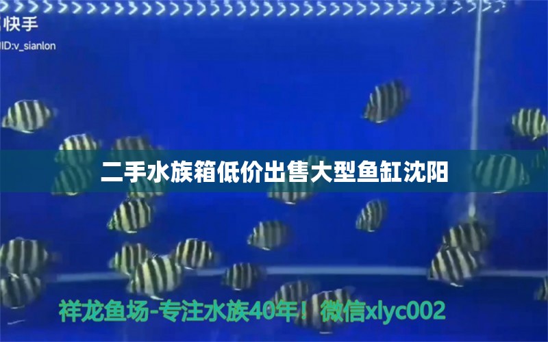 二手水族箱低價(jià)出售大型魚缸沈陽 魚缸/水族箱