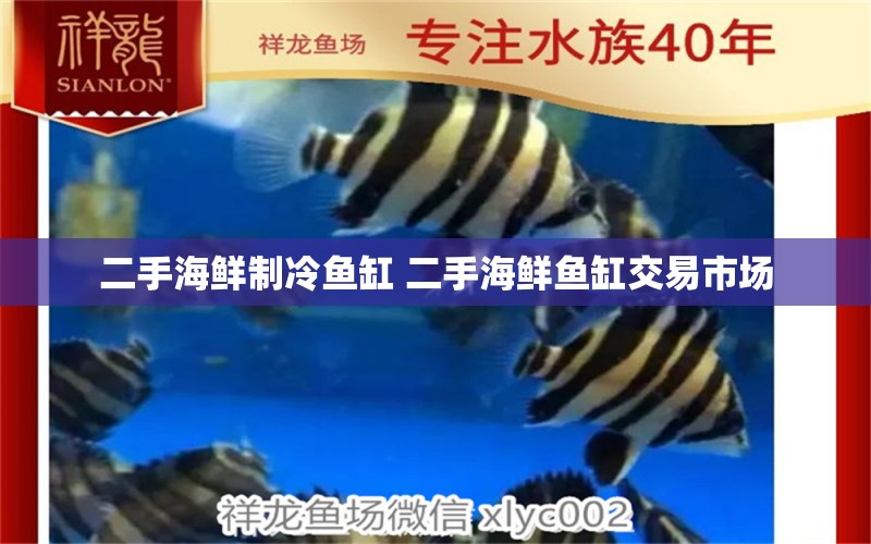 二手海鮮制冷魚缸 二手海鮮魚缸交易市場 玫瑰銀版魚 第1張