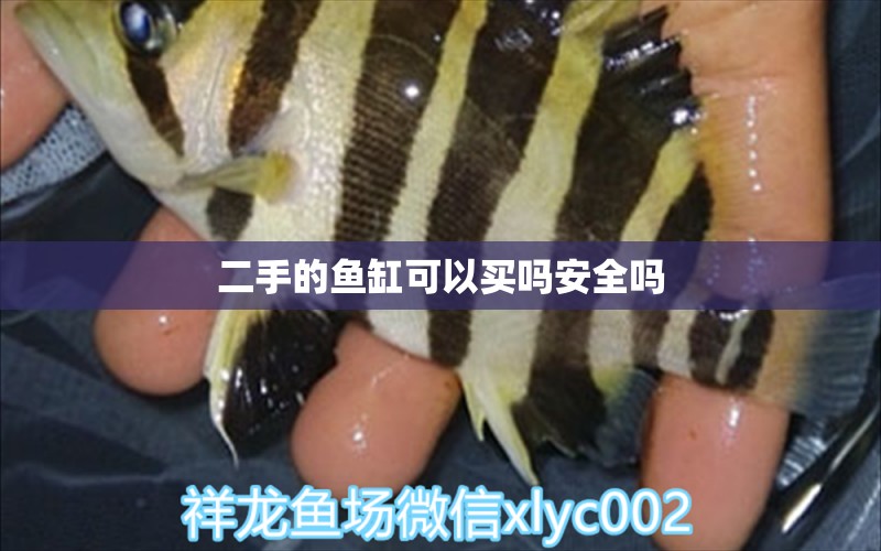 二手的魚缸可以買嗎安全嗎