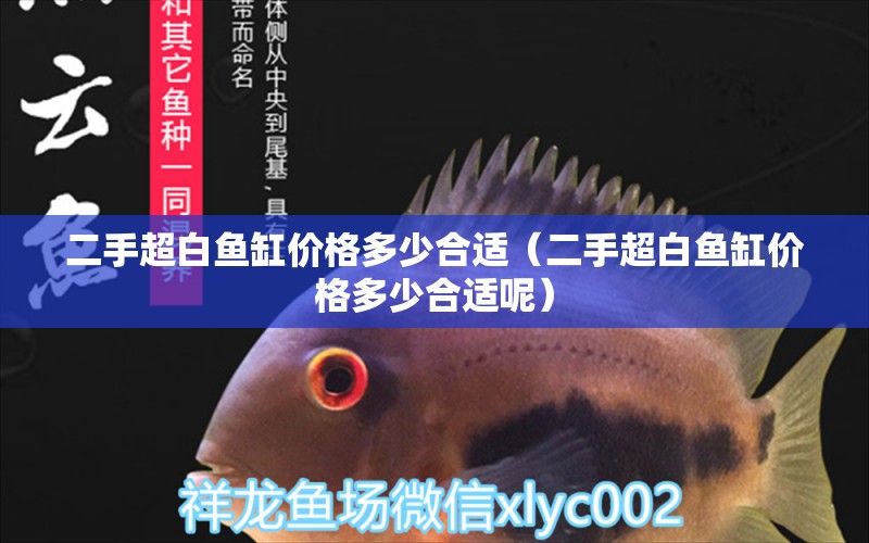 二手超白魚缸價格多少合適（二手超白魚缸價格多少合適呢）