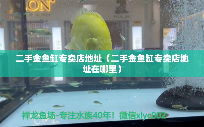 二手金魚缸專賣店地址（二手金魚缸專賣店地址在哪里） 赤荔鳳冠魚