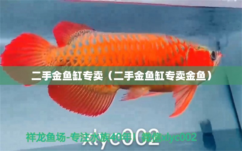 二手金魚缸專賣（二手金魚缸專賣金魚）