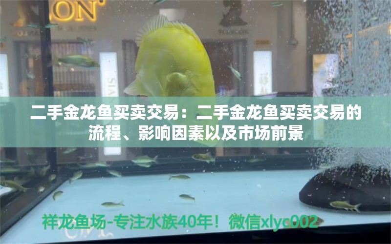 二手金龍魚買賣交易：二手金龍魚買賣交易的流程、影響因素以及市場前景 水族問答 第2張