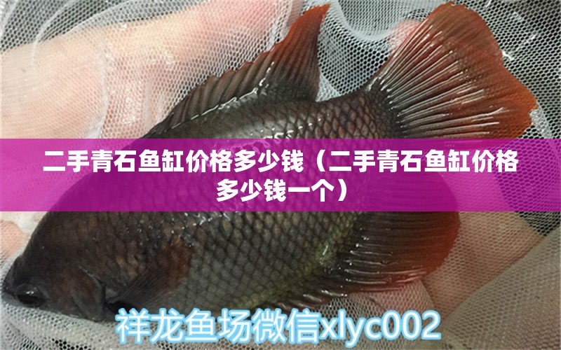 二手青石魚(yú)缸價(jià)格多少錢（二手青石魚(yú)缸價(jià)格多少錢一個(gè)） BD魟魚(yú)