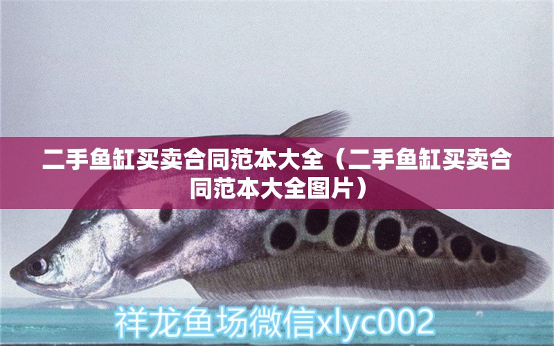 二手魚缸買賣合同范本大全（二手魚缸買賣合同范本大全圖片） 奈及利亞紅圓點狗頭