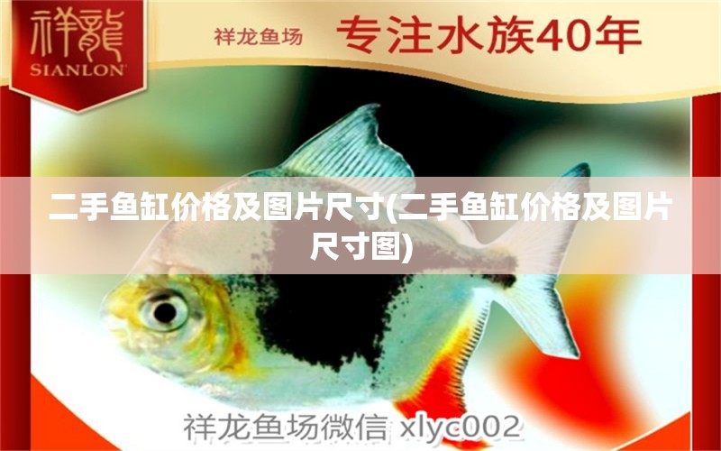 二手魚缸價格及圖片尺寸(二手魚缸價格及圖片尺寸圖) 古典過背金龍魚