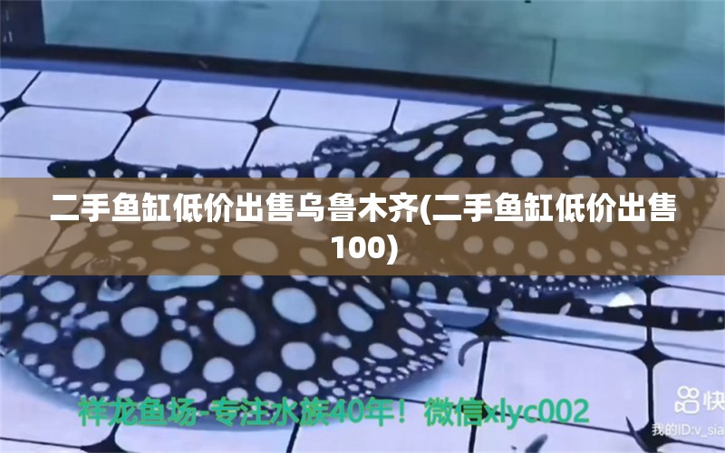 二手魚(yú)缸低價(jià)出售烏魯木齊(二手魚(yú)缸低價(jià)出售100) 財(cái)神鸚鵡魚(yú)