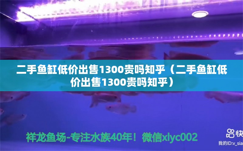 二手魚缸低價出售1300貴嗎知乎（二手魚缸低價出售1300貴嗎知乎）