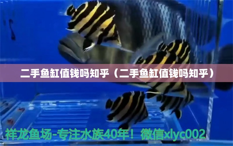 二手魚缸值錢嗎知乎（二手魚缸值錢嗎知乎） 祥龍水族醫(yī)院