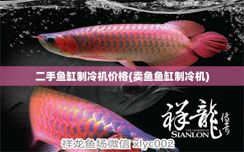 二手魚缸制冷機價格(賣魚魚缸制冷機)