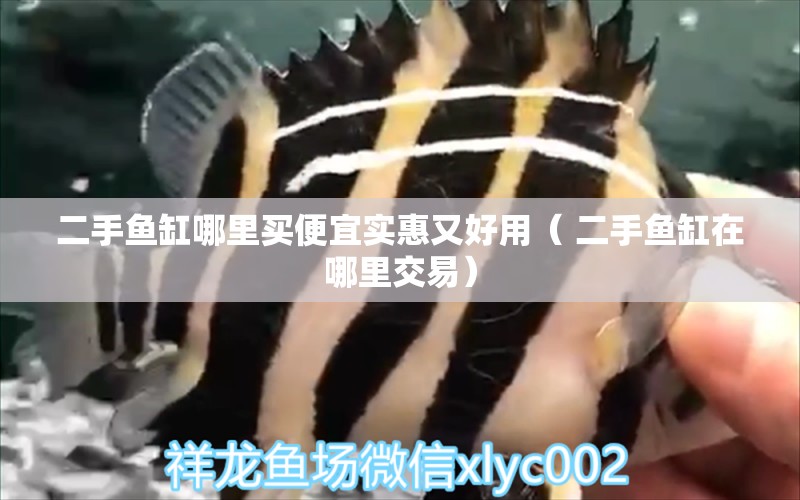 二手魚缸哪里買便宜實(shí)惠又好用（ 二手魚缸在哪里交易） 水族品牌 第1張