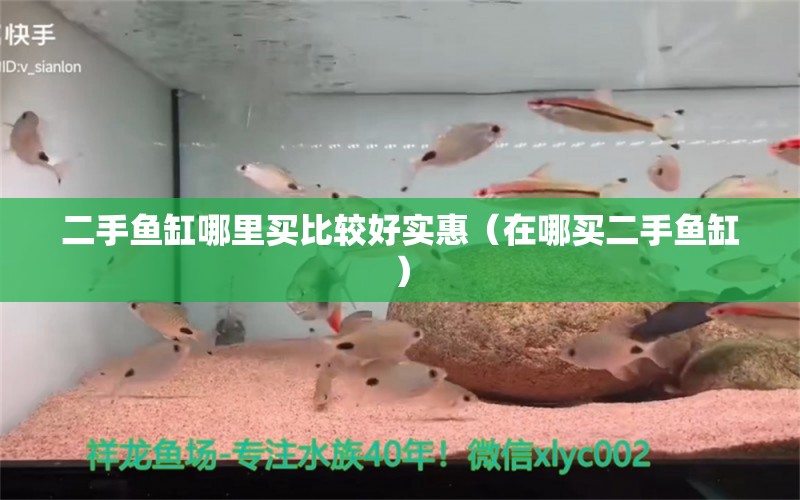 二手魚缸哪里買比較好實(shí)惠（在哪買二手魚缸） 銀古魚苗