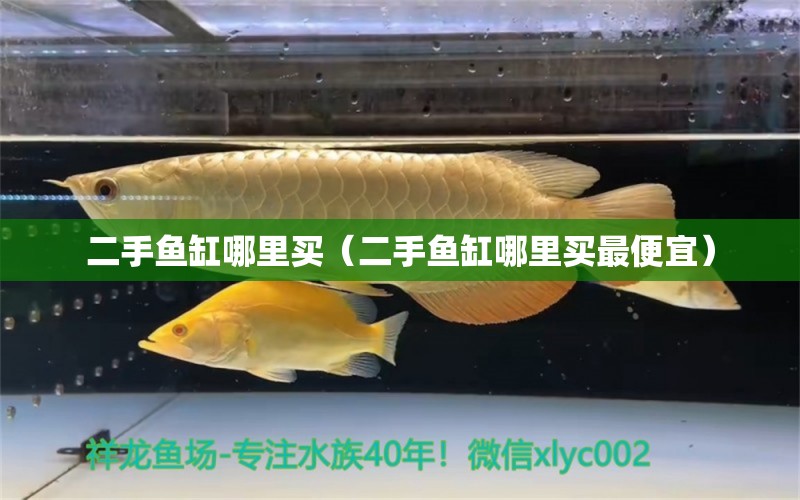 二手魚缸哪里買（二手魚缸哪里買最便宜）