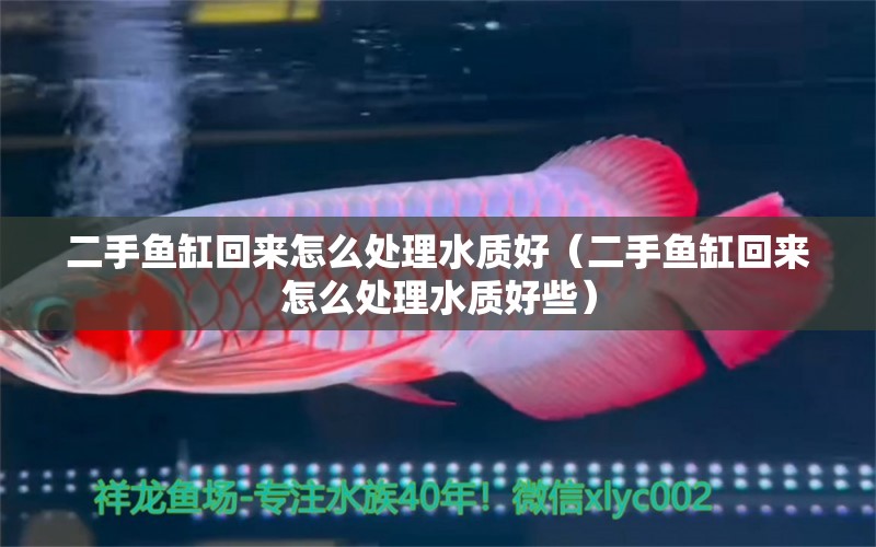 二手魚(yú)缸回來(lái)怎么處理水質(zhì)好（二手魚(yú)缸回來(lái)怎么處理水質(zhì)好些） 觀賞魚(yú)市場(chǎng)（混養(yǎng)魚(yú)）