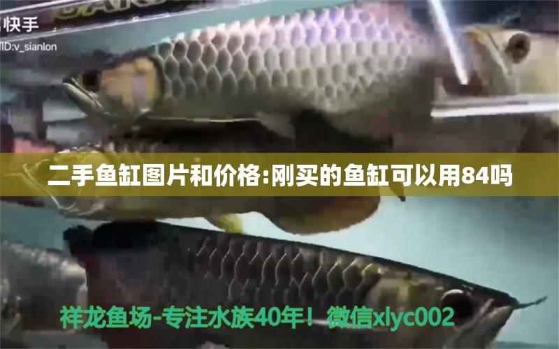 二手魚缸圖片和價(jià)格:剛買的魚缸可以用84嗎