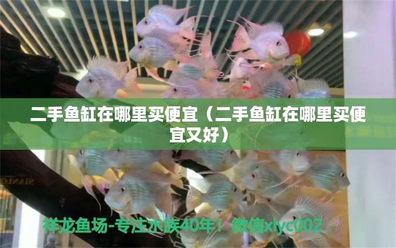 二手魚缸在哪里買便宜（二手魚缸在哪里買便宜又好）