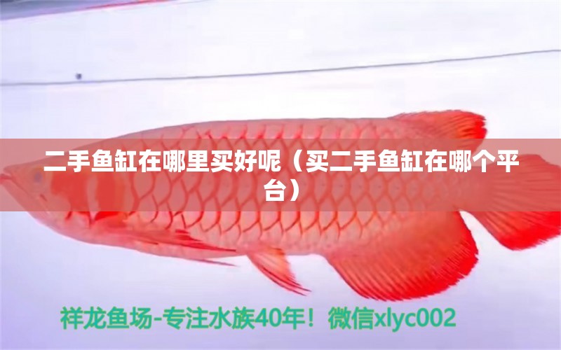 二手魚缸在哪里買好呢（買二手魚缸在哪個平臺） 廣州觀賞魚批發(fā)市場