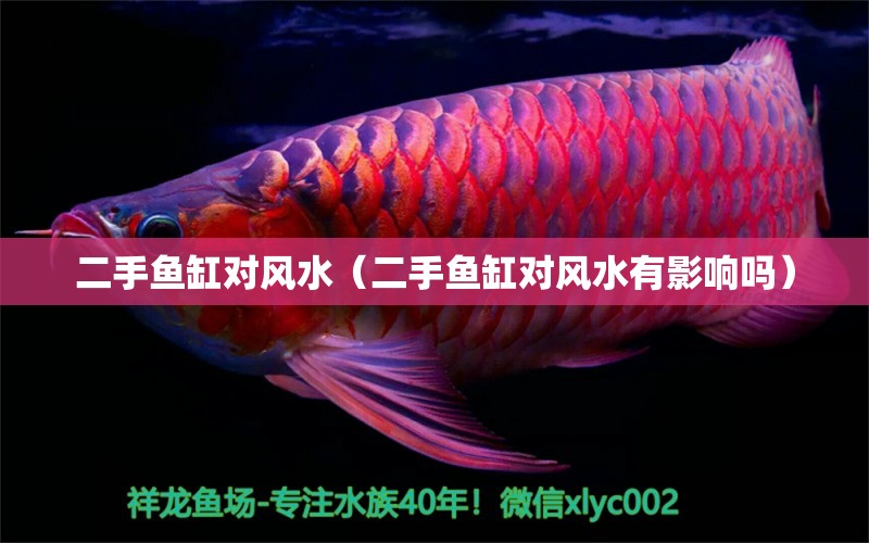 二手魚缸對(duì)風(fēng)水（二手魚缸對(duì)風(fēng)水有影響嗎）