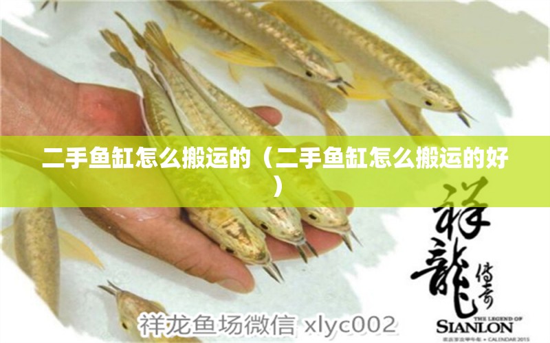 二手魚缸怎么搬運(yùn)的（二手魚缸怎么搬運(yùn)的好）