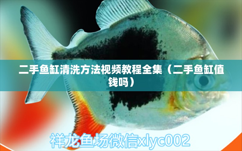 二手魚缸清洗方法視頻教程全集（二手魚缸值錢嗎）