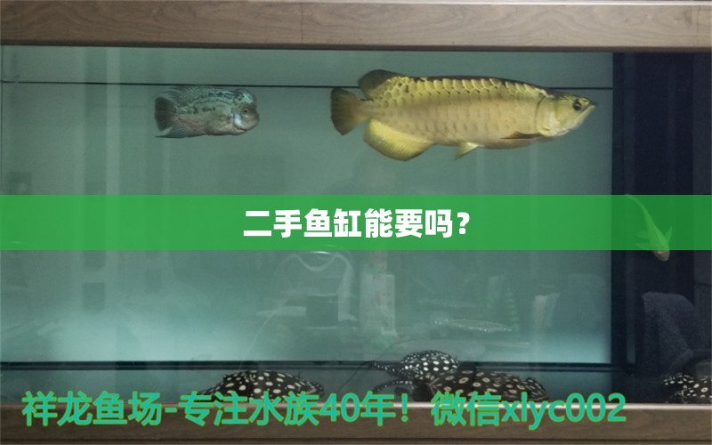 二手魚缸能要嗎？ 養(yǎng)魚知識(shí) 第1張