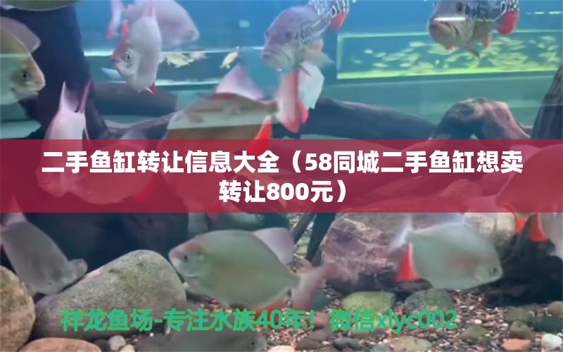 二手魚缸轉(zhuǎn)讓信息大全（58同城二手魚缸想賣轉(zhuǎn)讓800元）