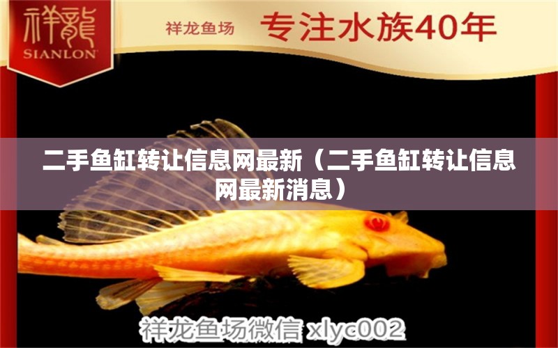 二手魚(yú)缸轉(zhuǎn)讓信息網(wǎng)最新（二手魚(yú)缸轉(zhuǎn)讓信息網(wǎng)最新消息） 祥龍魚(yú)場(chǎng)