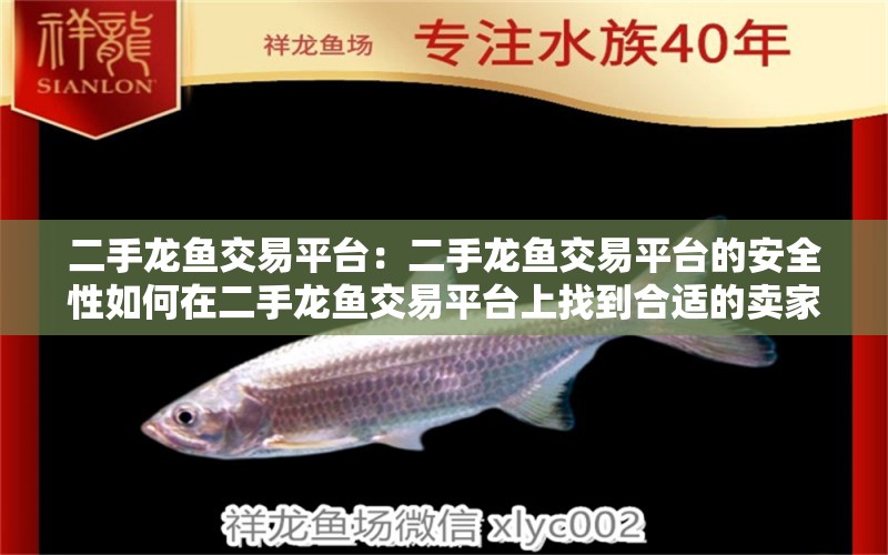 二手龍魚交易平臺：二手龍魚交易平臺的安全性如何在二手龍魚交易平臺上找到合適的賣家 水族問答 第2張