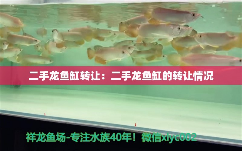 二手龍魚缸轉(zhuǎn)讓：二手龍魚缸的轉(zhuǎn)讓情況 水族問答 第2張