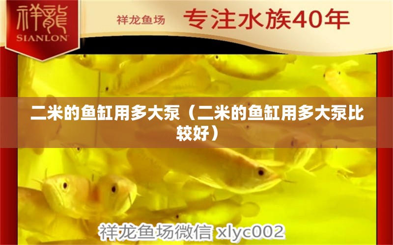 二米的魚缸用多大泵（二米的魚缸用多大泵比較好）