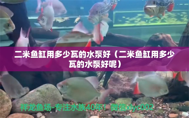 二米魚缸用多少瓦的水泵好（二米魚缸用多少瓦的水泵好呢）