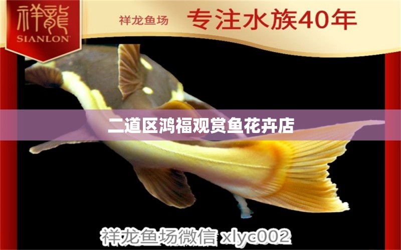 二道區(qū)鴻福觀賞魚(yú)花卉店 全國(guó)水族館企業(yè)名錄