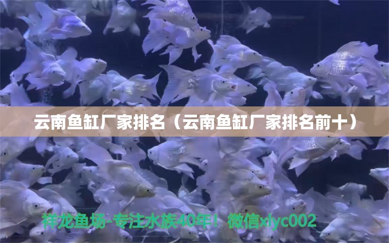 云南魚缸廠家排名（云南魚缸廠家排名前十）