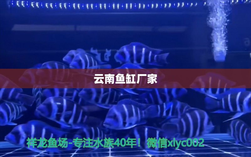 云南魚缸廠家