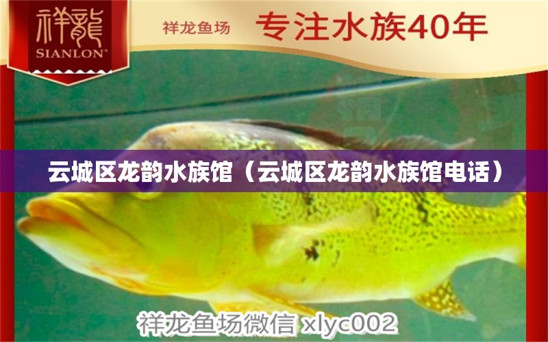 云城區(qū)龍韻水族館（云城區(qū)龍韻水族館電話）