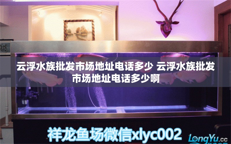 云浮水族批發(fā)市場地址電話多少 云浮水族批發(fā)市場地址電話多少啊