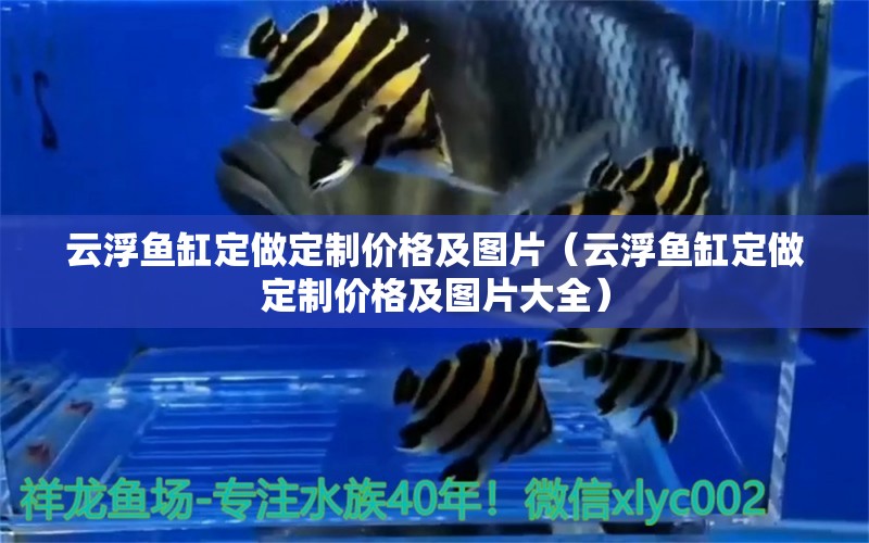 云浮魚(yú)缸定做定制價(jià)格及圖片（云浮魚(yú)缸定做定制價(jià)格及圖片大全） 短身紅龍魚(yú)