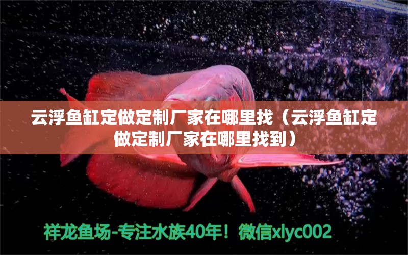 云浮魚缸定做定制廠家在哪里找（云浮魚缸定做定制廠家在哪里找到）