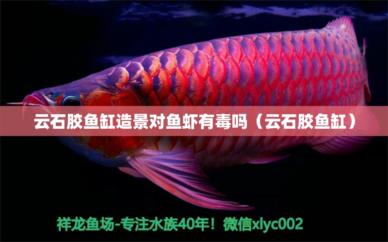 云石膠魚缸造景對魚蝦有毒嗎（云石膠魚缸）