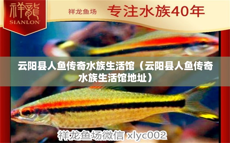 云陽縣人魚傳奇水族生活館（云陽縣人魚傳奇水族生活館地址）