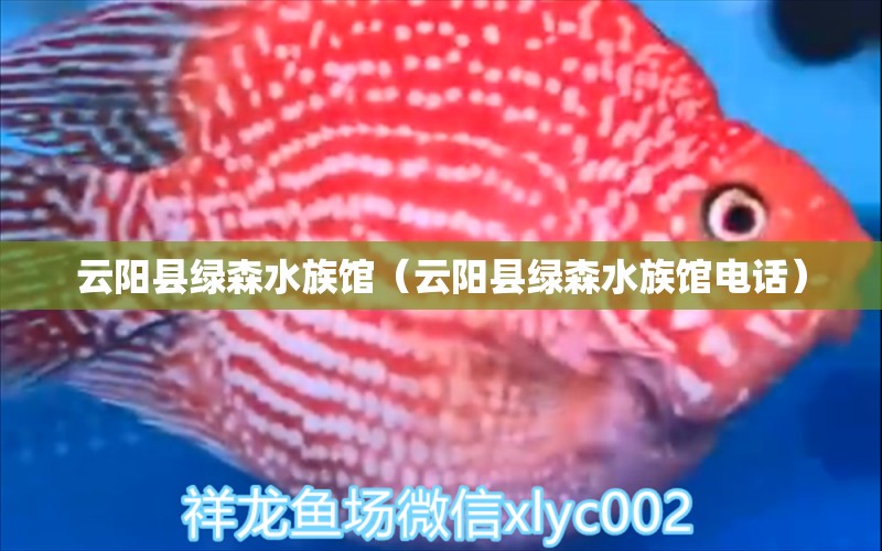 云陽(yáng)縣綠森水族館（云陽(yáng)縣綠森水族館電話）