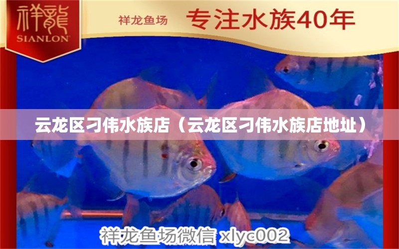 云龍區(qū)刁偉水族店（云龍區(qū)刁偉水族店地址）