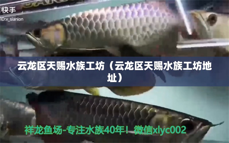 云龍區(qū)天賜水族工坊（云龍區(qū)天賜水族工坊地址）