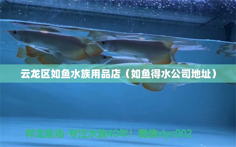 云龍區(qū)如魚水族用品店（如魚得水公司地址）