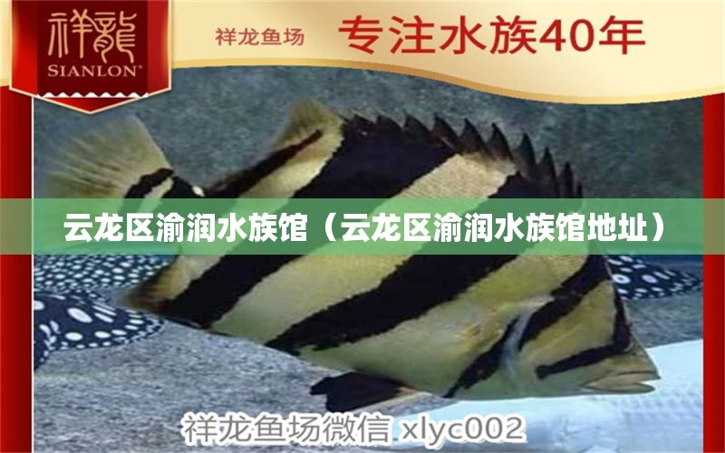 云龍區(qū)渝潤水族館（云龍區(qū)渝潤水族館地址）